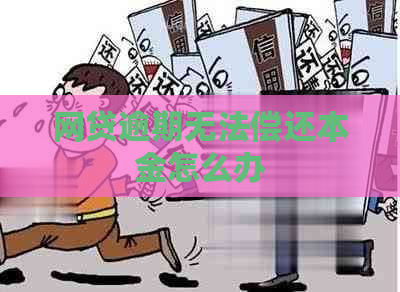 网贷逾期无法偿还本金怎么办
