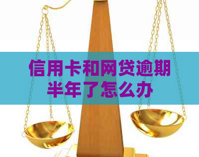 信用卡和网贷逾期半年了怎么办