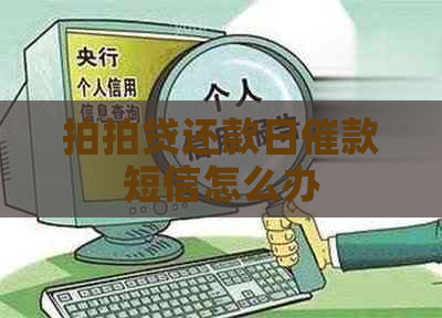 还款日催款短信怎么办