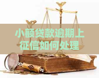 小额贷款逾期上如何处理