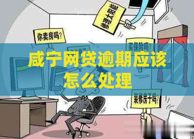 咸宁网贷逾期应该怎么处理