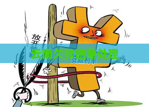 云南欠款逾期处理