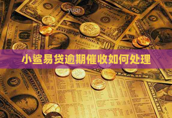 小鲨易贷逾期如何处理