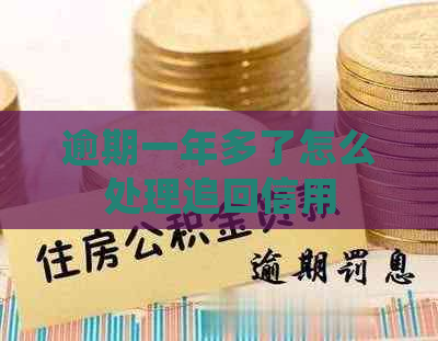 逾期一年多了怎么处理追回信用