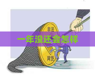 一年没还会怎样