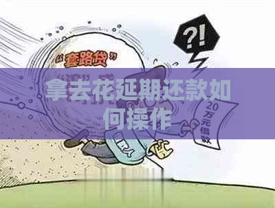 拿去花延期还款如何操作