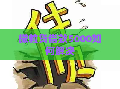 微粒贷借款5000如何解决