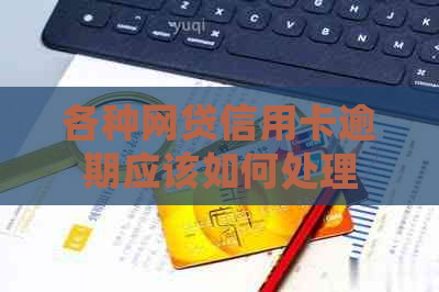 各种网贷信用卡逾期应该如何处理