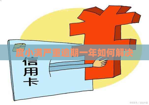 度小满严重逾期一年如何解决