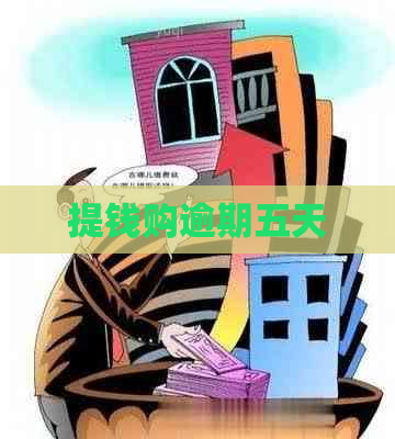 提钱购逾期五天