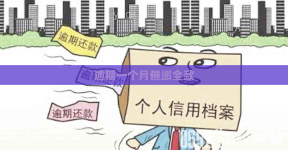 逾期一个月催缴全款