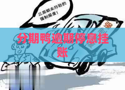分期鸭逾期停息挂账