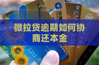 微拉贷逾期如何协商还本金