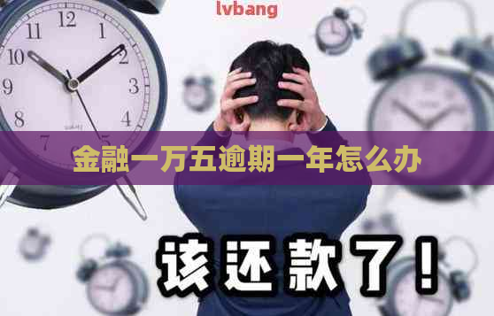 金融一万五逾期一年怎么办