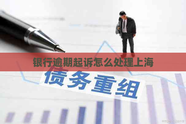 银行逾期起诉怎么处理上海