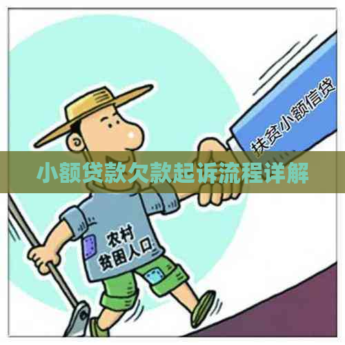 小额贷款欠款起诉流程详解