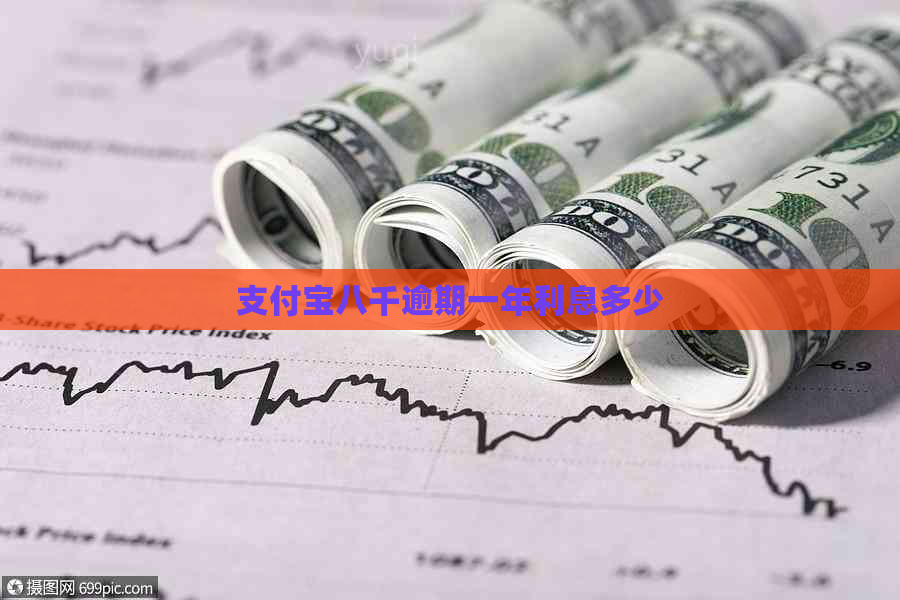 支付宝八千逾期一年利息多少