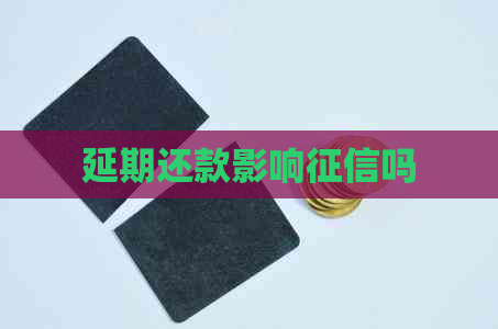 延期还款影响吗