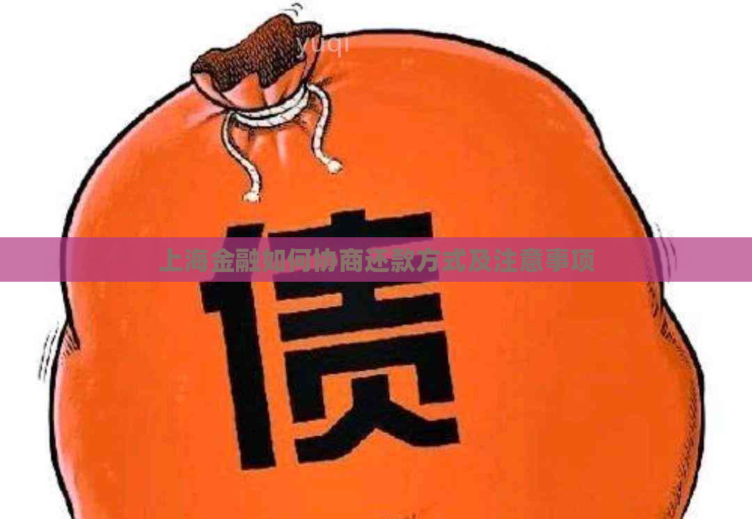 上海金融如何协商还款方式及注意事项