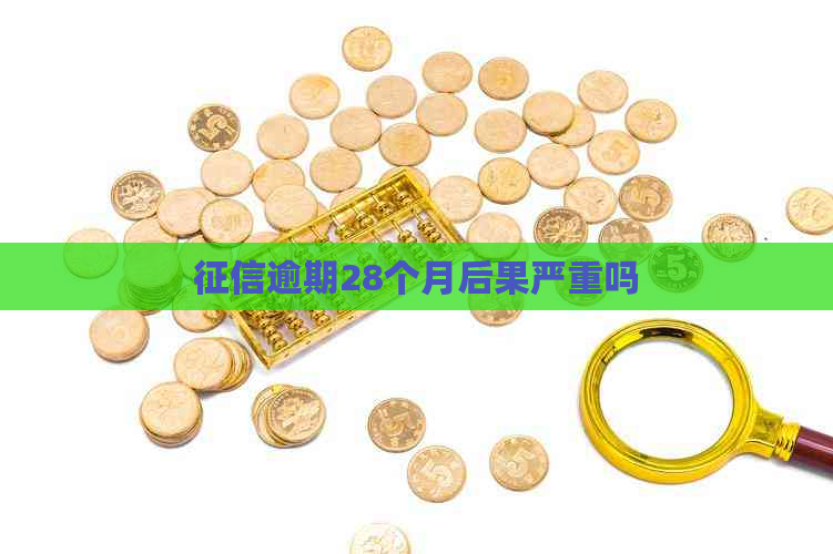 逾期28个月后果严重吗