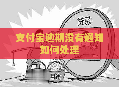 支付宝逾期没有通知如何处理