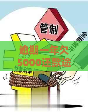 逾期一年欠5000还款途径有哪些
