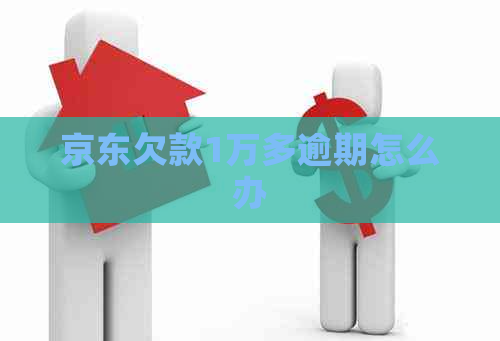 京东欠款1万多逾期怎么办