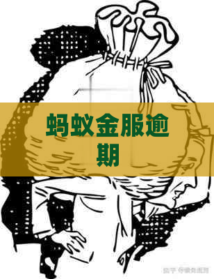 蚂蚁金服逾期
