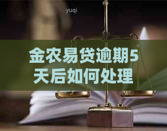 金农易贷逾期5天后如何处理