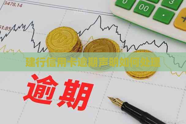 建行信用卡逾期声明如何处理