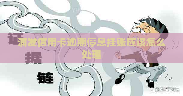 浦发信用卡逾期停息挂账应该怎么处理