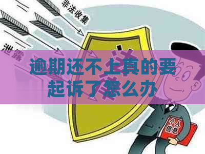 逾期还不上真的要起诉了怎么办