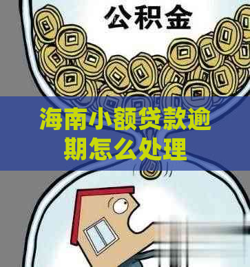 海南小额贷款逾期怎么处理