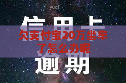 欠支付宝20万坐牢了怎么办呢