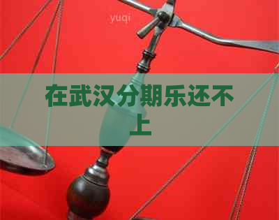 在武汉还不上