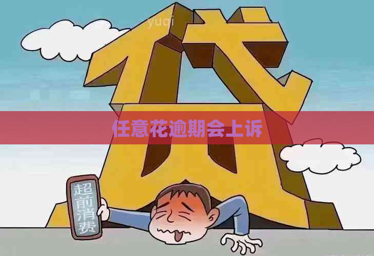 任意花逾期会上诉