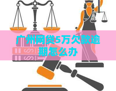 广州网贷5万欠款逾期怎么办