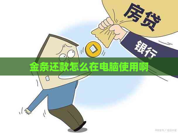 金条还款怎么在电脑使用啊