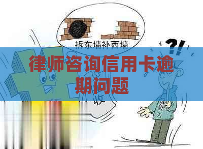 律师咨询信用卡逾期问题