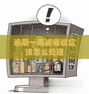 逾期一周被应该怎么处理