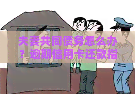 夫妻共同债务怎么办？逾期信用卡还款指南：资讯分享给老婆