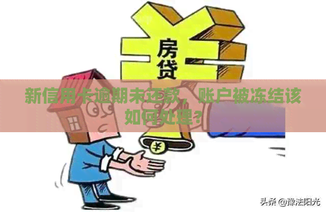 新信用卡逾期未还款，账户被冻结该如何处理？