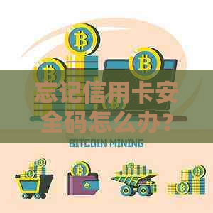 忘记信用卡安全码怎么办？查询方法及注意事项