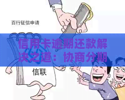 信用卡逾期还款解决之道：协商分期策略