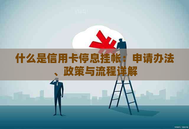 什么是信用卡停息挂帐：申请办法、政策与流程详解