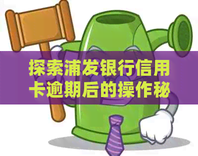 探索浦发银行信用卡逾期后的操作秘：申请停息挂账全流程详解