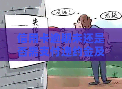 信用卡逾期未还是否需支付违约金及利息？起诉后还款问题解答