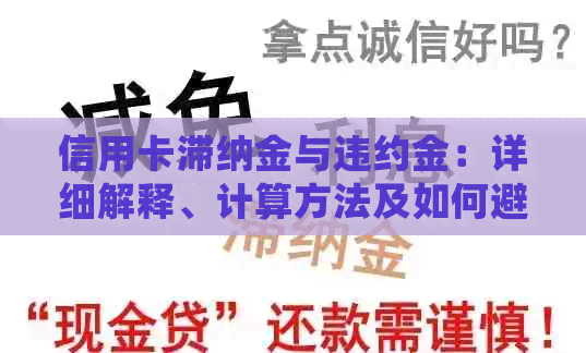 信用卡滞纳金与违约金：详细解释、计算方法及如何避免？