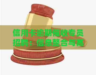 信用卡逾期专员招聘：信息整合与高效沟通技巧