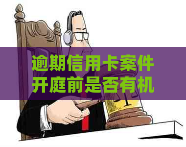 逾期信用卡案件开庭前是否有机会进行调解或协商？